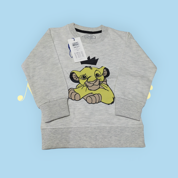 Boys Sweat Shirt